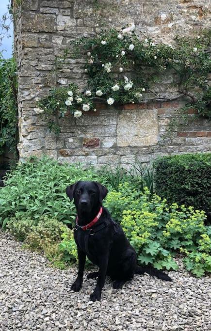 Beautiful Grade 2 Listed Cotswold Stone Chipping Norton